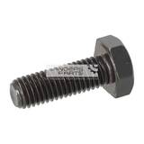 ZESKANTBOUT M10X30-SD-HOCHWARM